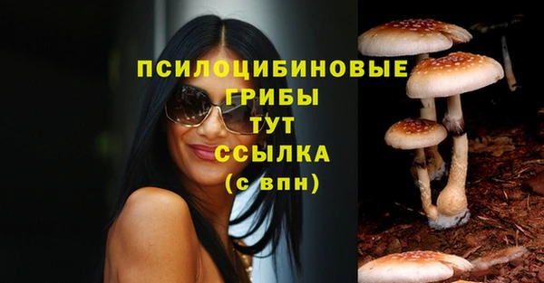 амф Алексин