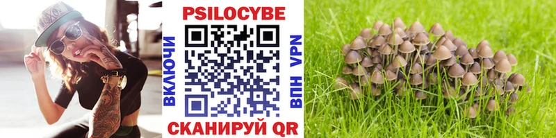 где найти   Махачкала  Галлюциногенные грибы ЛСД 